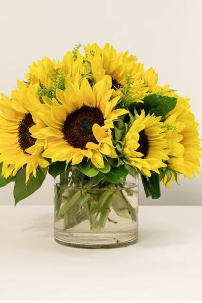 girasoles - french florist
