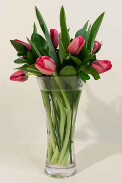 tulipanes - french florist